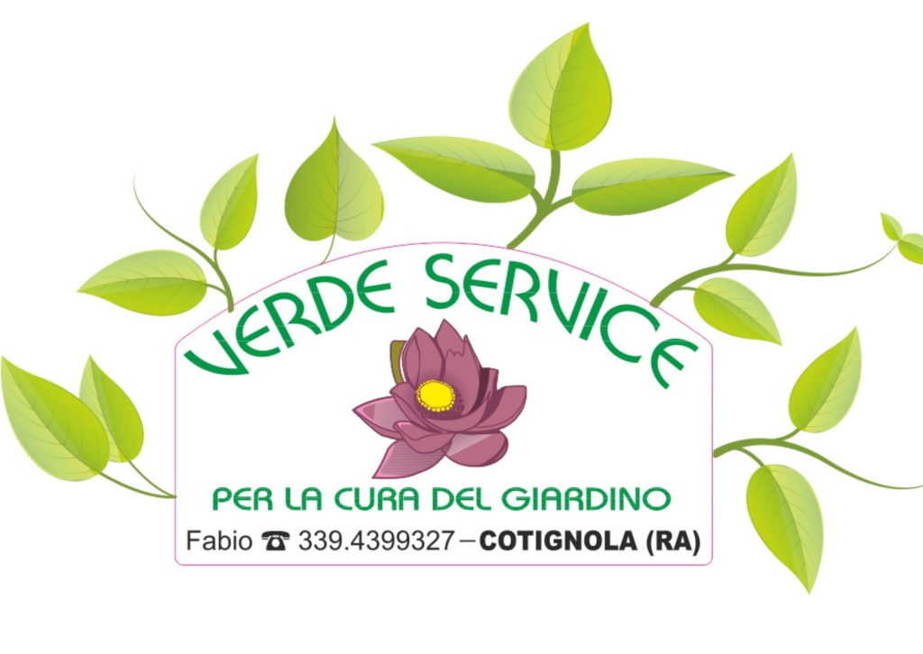 Immagine del Partner