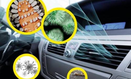 Immagine del Partner